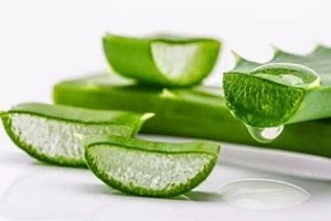 Aloe zur Behandlung von Prostatitis