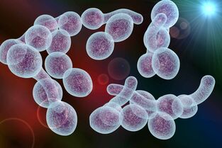 Erreger der bakteriellen Prostatitis bei Männern