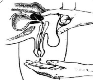 Prostata-Massage zur Entlastung.