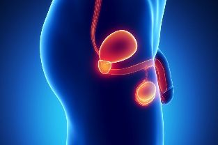 Entzündung der Prostata